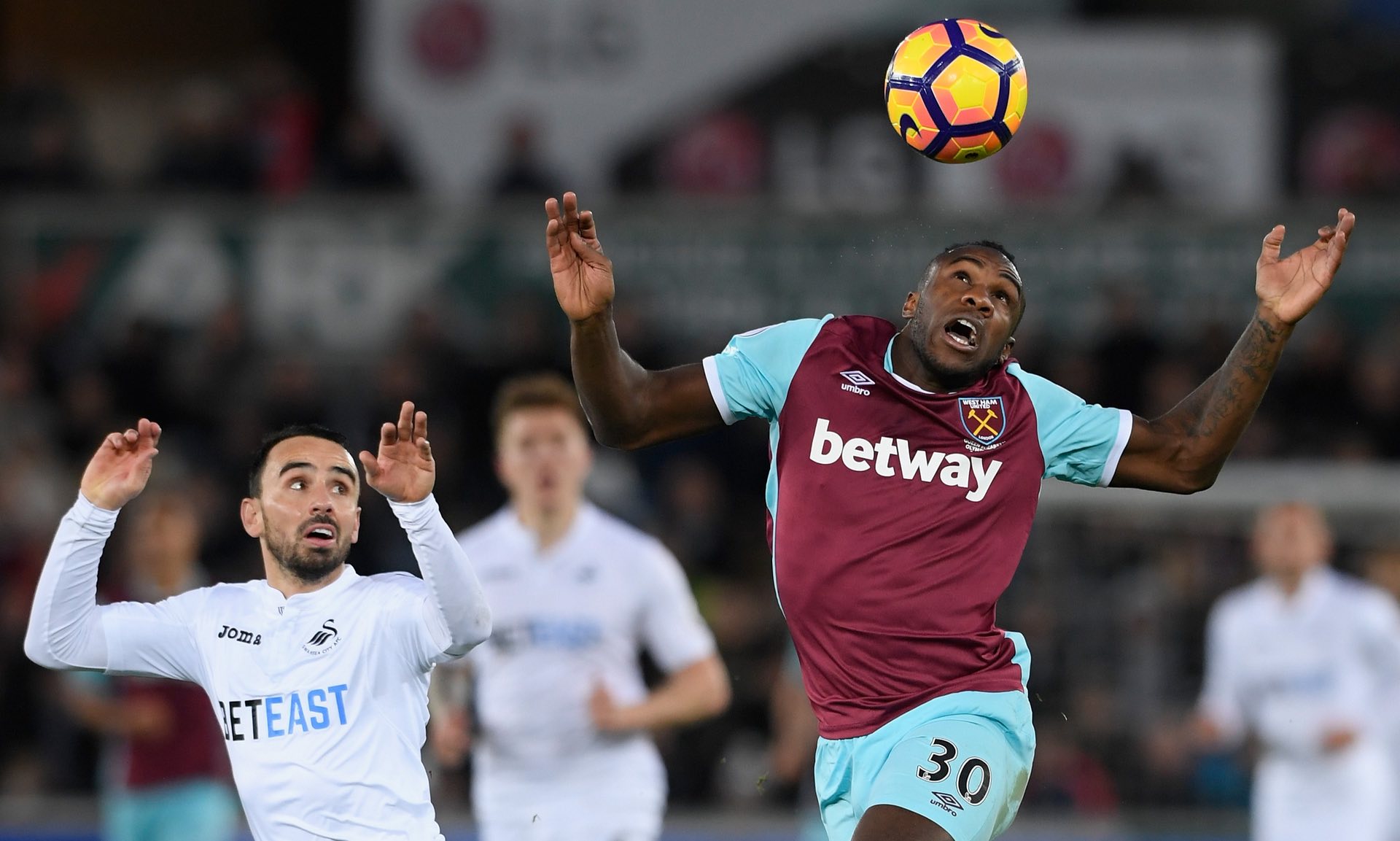 一种难得的 一种难得的